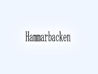 Hammarbacken-LUDVIKA-WEBB